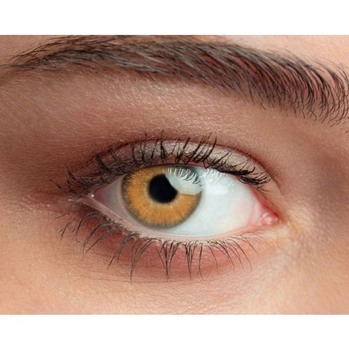 Lentilles de contact Soleko Queen's Solitaire Spice